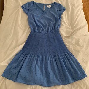 Beautiful Blue Fit and Flare Elle Dress